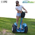 21 Inch Segway x2 off road / two wheel self balance scooters for adults