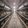 Buy cheap Small Stacked Battery Chicken Layer Cage Automatic Poultry Farming H Shaped 8 Tiers from wholesalers