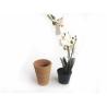 Buy cheap LFGB Custom Cork Plant Pots Eco Friendly Recycled Biodegradable from wholesalers