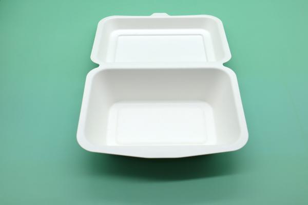 Disposable Paper Bagasse Food Box , 7*5 Inch Square Plate , For Take Away Fast