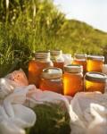 100% Organic Pure Raw Honey Natural Bee Honey from China Healthy Food