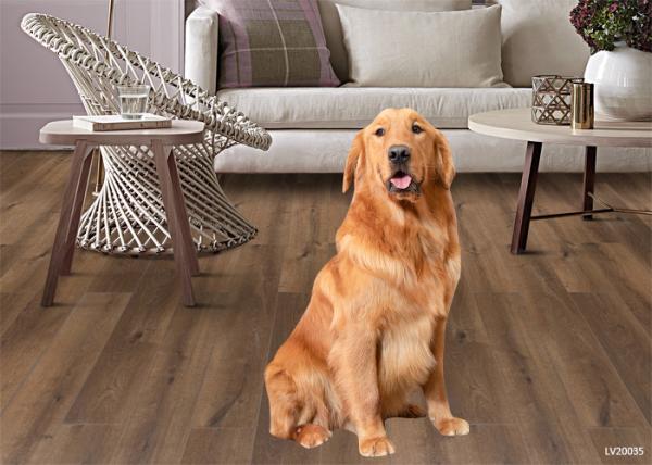 Buy cheap Waterproof and flame-retardant floor WFR flooring,also called MGO flooring from wholesalers