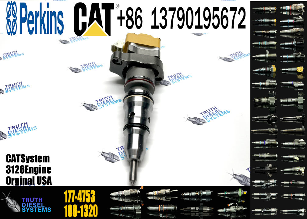 Fuel Injector 171-9710 171-9704 178-6432 177-4753 138-8756 222-5963 222-5972 173-4059 155-1819 155-8723 2C0273