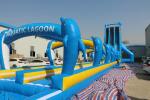 Blue Dolphin large water slide WSS-277/0.55mm PVC Material For Adults