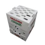 Waterproof 5mm Corrugated Plastic Storage Bins PP Reusable Corrugated Plastic