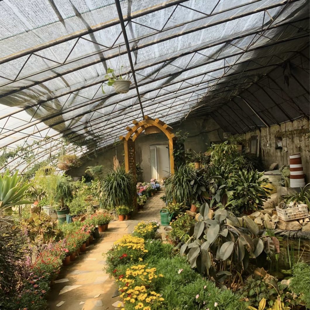 Sunlight Greenhouse Flower Planting Vegetable Production