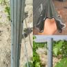 Buy cheap 2.5mm Thickness Metal Galvanised Steel Vineyard Posts For Grape Growing from wholesalers
