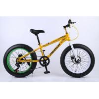 Buy cheap Steel Frame 21 Speed 26 Inch Electric Fat Bike product