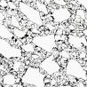 Buy cheap OLK9606 - Kitchen Worktops Black And White Stripe Best Price Popular Panda White Quartz from wholesalers