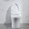 Buy cheap Odm Dual Flush Elongated Toilet With Side Holes American Standard from wholesalers