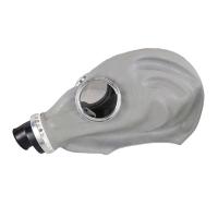 Buy cheap Soft Rubber Puda Full Cover Protective Panoramic Gas Mask 0.515KG product