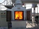 Solid Waste Hospital Waste Incinerator Medical Waste Incinerator Stainless Steel