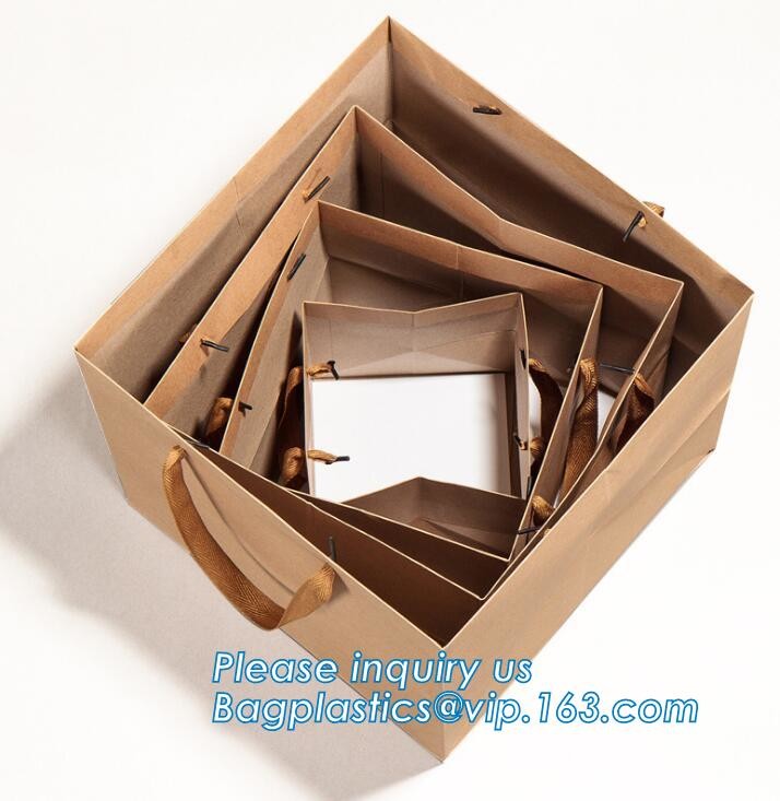 Paper fresh Flower Carrier Packing Bags,Large size rope handle craft paper carrier bags for flowers,Floral Hibiscus Flow