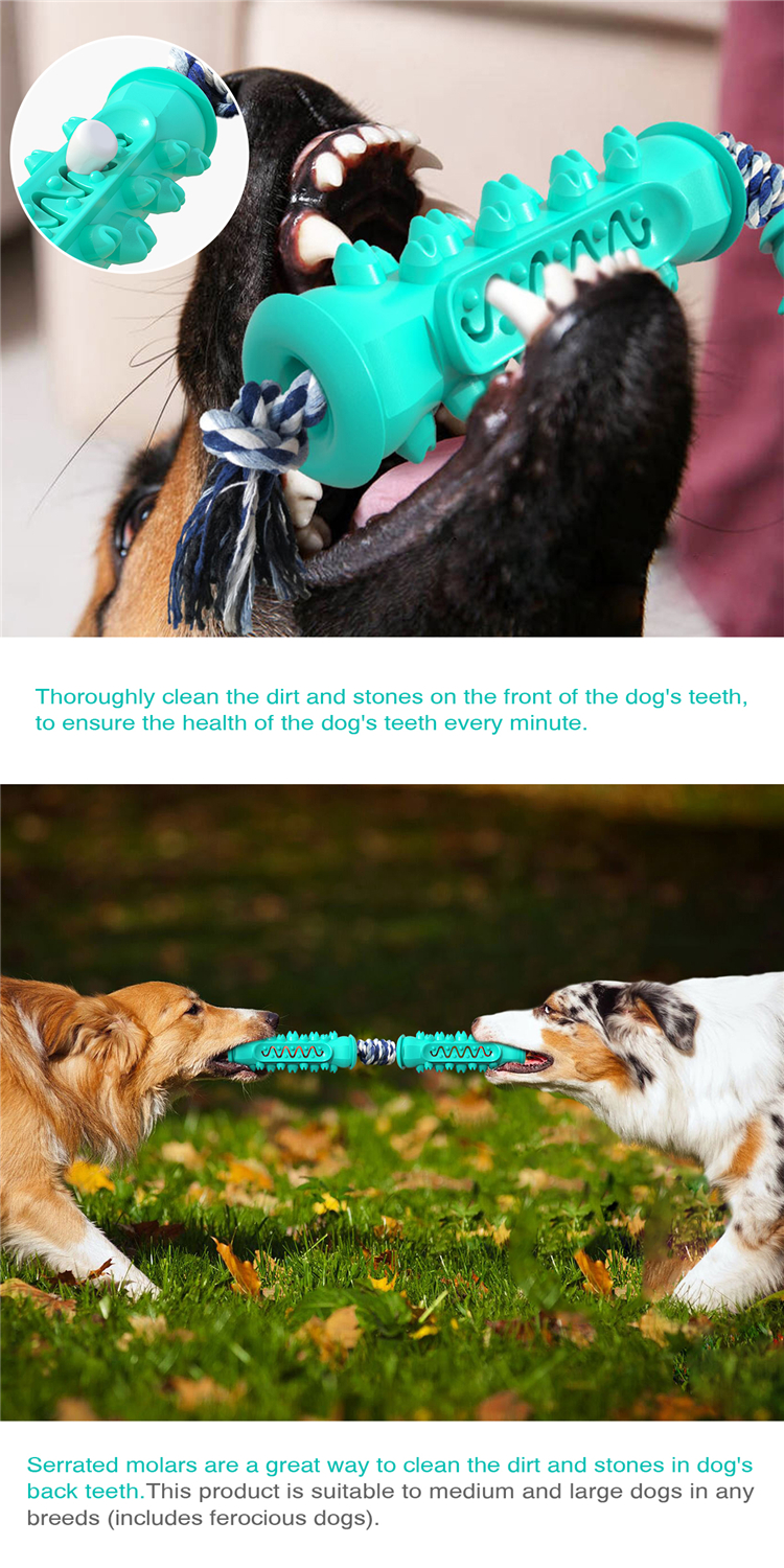 New Design Bone Shape Dog Double Serrated Grinding Rod Teeth Clean Chew And Dog Chew Treat