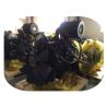 Buy cheap 6L Cummins Diesel Motor 6LTAA8.9- C220 / 6LTAA8.9- C260 / 6LTAA8.9- C325 / 6LTAA8.9- C360 from wholesalers