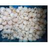 Buy cheap Crop Fresh Iqf Frozen Lychee Whole from wholesalers