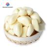 Buy cheap 90KG 220V Stainless steel garlic shallot peeling machine peeling machine small garlic peeling machine from wholesalers