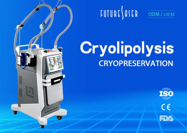 Buy cheap Skin Freeze Cryolipolysis Slimming Machine , Double Handle Fat Reduction Equipment from wholesalers
