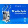 Buy cheap Skin Freeze Cryolipolysis Slimming Machine , Double Handle Fat Reduction Equipment from wholesalers