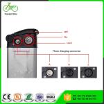 36V 48V Silverfish Electric Bike Lithium Battery Distance Per Charge 30-60KM