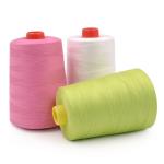 China Manufacturer Price Color 100% Polyester Sewing Thread 20/2 30/2 40/2 5000