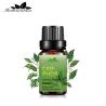 Buy cheap 30ml Body Essential Oils Perfume FDA Camphor Essential Oil Aromatherapy from wholesalers