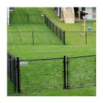 Waterproof Galvanized/ Vinyl Color Coated Chain Link Fence Installation from
