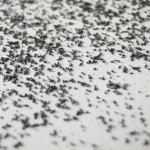 Buy cheap sand peening media metal abrasive steel grit G80 from wholesalers