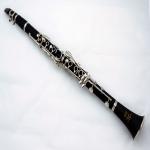 Accept OEM Cheap Bb 17 White Plastic Body Nickel Keys Clarinet JYCL301WH