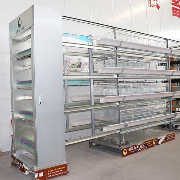 Buy cheap High Laying Rate Layer Chicken Cage 195cm Long Less Disability 44 - 69kg Weight from wholesalers