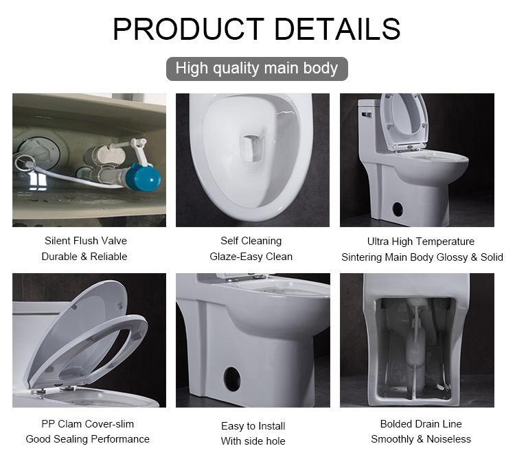 Siphon One Piece Dual Flush Comfort Height Toilet Round Bowl 112lbs