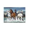 Buy cheap Runnig Horse 3D Lenticular Pictures For House Decorative 0.6mmPET from wholesalers