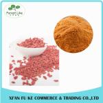 Hot Selling New Fresh Organic Dried Fruit Chinese Goji Berries