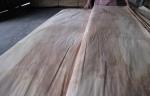Nature Rotary Cut Birch Veneer Sheet A grade , Natural Wood Veneer