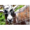 Buy cheap Galvanized Steel Wire Mesh Fence Animal 72 inch field fence Zoo Wild Fencing Roll from wholesalers