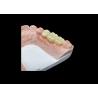 Buy cheap Natural Aesthetics Translucent Ceramic Crowns for Dental Restoration with Easy Cleaning and Long-Lasting Results from wholesalers