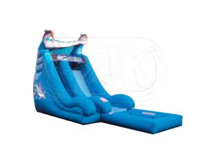 China Dolphin 16 Foot Water Park Inflatable Pool Slide / Air Water Slide Pool on sale