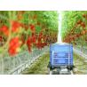 Buy cheap Climate Adjustable Plastic Film Greenhouse Heat Resisting Anti Freezing Moisture Proof from wholesalers