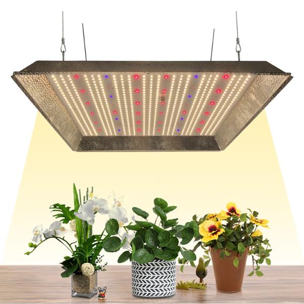 Buy cheap Quantum 3 Channel Meanwell 320W Led Grow Light For 4X4 Grow Tent from wholesalers
