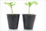 Seedling Cultivation 4 Inch Thermoformed Nursery Pot 7 Gallon Raised Rim