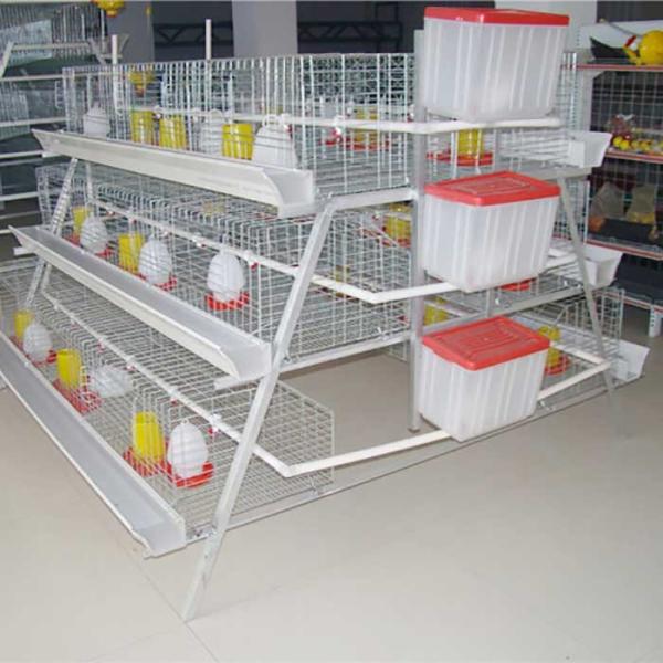 Buy cheap A Type 198 Birds Layer Chicken Cage Poultry Farming Equipment from wholesalers