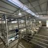 Buy cheap Digital Electric Meter Sheep Goat Milking Parlour New Condition Equipment from wholesalers