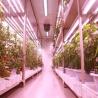 Buy cheap Versatile Commercial Greenhouse for Hydroponic Vertical Farming in Shipping Container from wholesalers