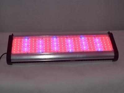 Buy cheap 250W pt cheap aquarium led light auto-dimming Led aquarium light manufacturers from wholesalers