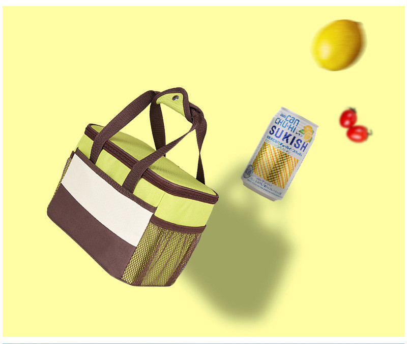 Waterproof Picnic Mesh Insulated Lunch Cooler Bags