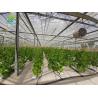 Buy cheap Soilless Cultivation Vertical Hydroponic Growing System OEM ODM from wholesalers