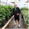 Buy cheap External Shading System vegetable Light Deprivation Greenhouse for Plants Cultivation from wholesalers