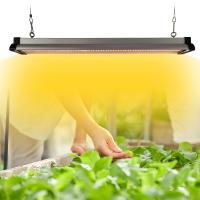 Buy cheap 30w 45w 60w Full Spectrum LED Grow Light For Vegetables product