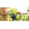 Buy cheap Bed Support Agriculture Polyester Wire Anti UV 730 CN/Dtex Alkali Resistant from wholesalers