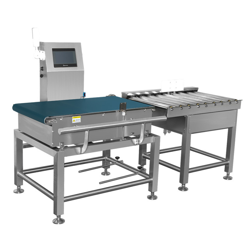 Conveyor Weight Checker with 10-3000g Weight Range and 0.1g Mini Scale